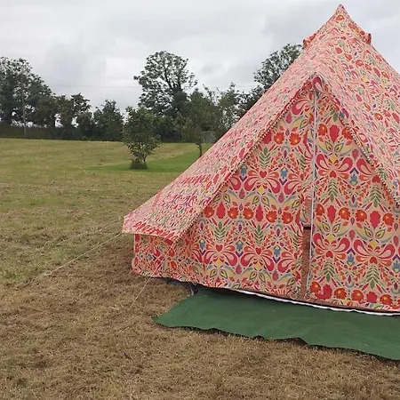 Murphy'S Irish Tipi Tralee